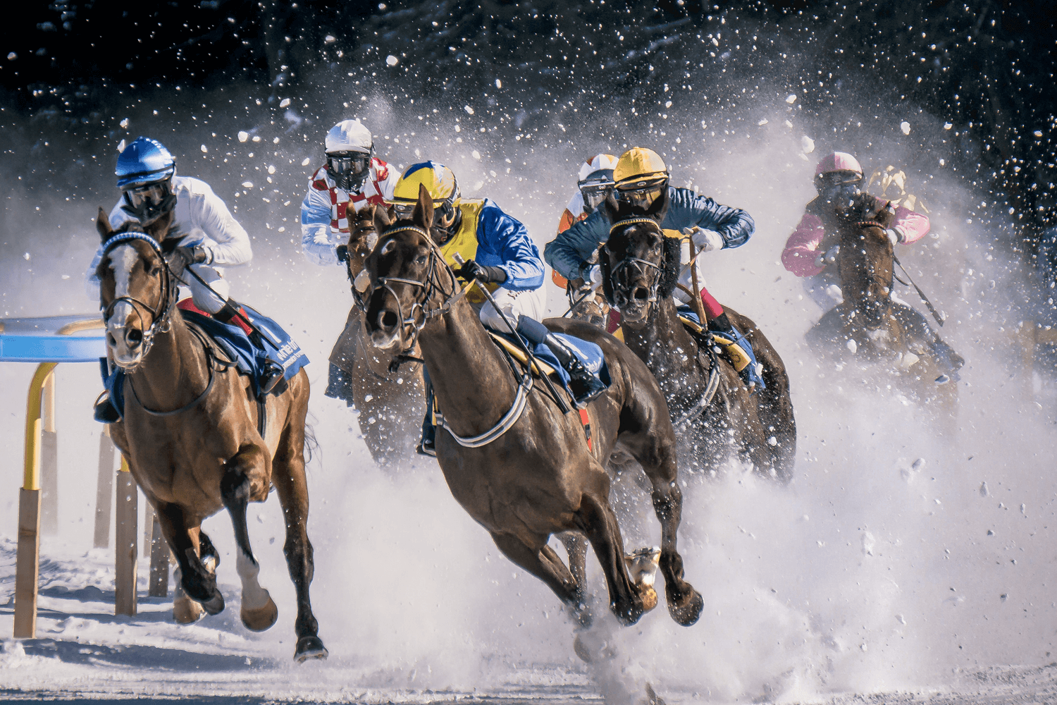 Apuestas en Carreras de caballos