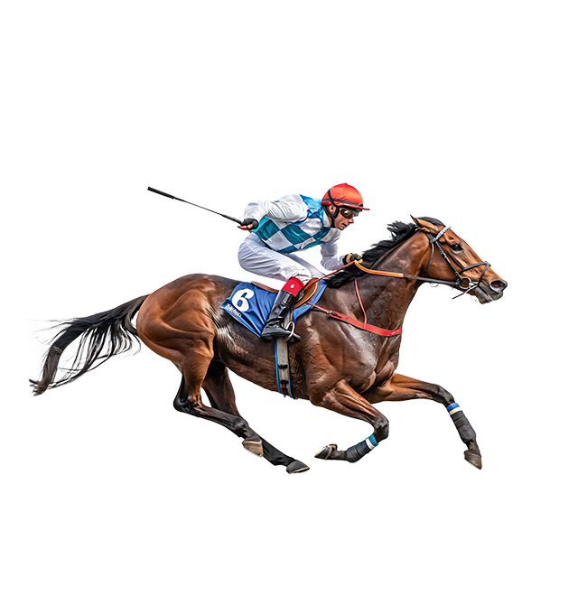 Apuestas en Carreras de caballos