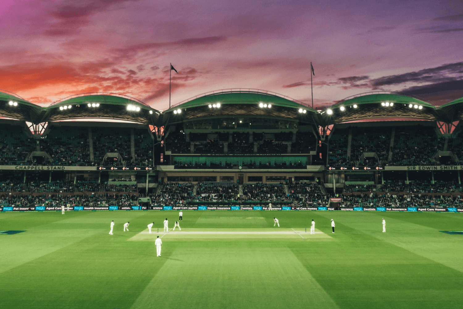 Cricket betting